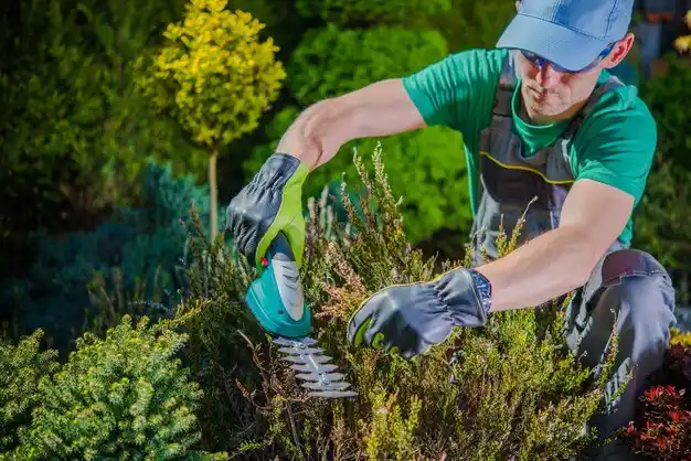 landscaping services Reidland